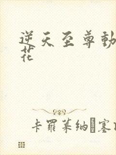 逆天至尊动漫樱花