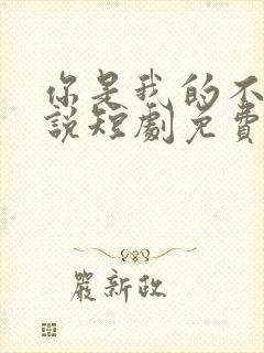 你是我的不可言说短剧免费观看全集