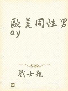 欧美同性男男gay