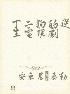 丁二狗的逆袭人生电视剧