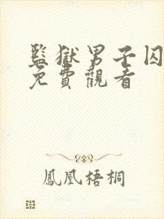 监狱男子囚生记免费观看封面