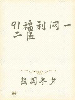 91福利网一区二区