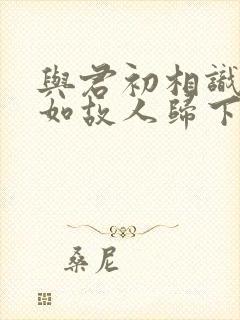 与君初相识,犹如故人归下一句
