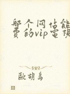 哪个网站能看免费的vip电视剧