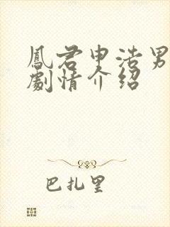凤君申浩男短剧剧情介绍封面