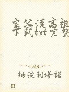 家父汉高祖小说下载txt完整