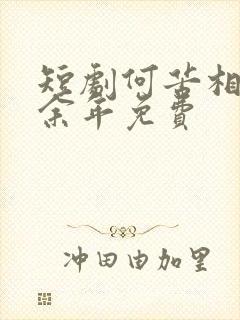 短剧何苦相思煮余年免费