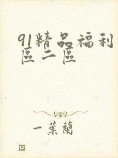 91精品福利一区二区封面