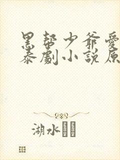 黑帮少爷爱上我泰剧小说原著