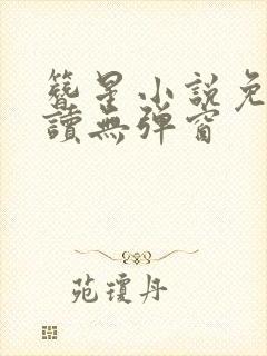 簪星小说免费阅读无弹窗