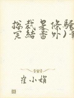 总裁是条骚狗(完结番外)笔趣阁小说封面