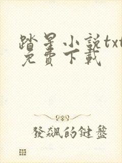 踏星小说txt免费下载