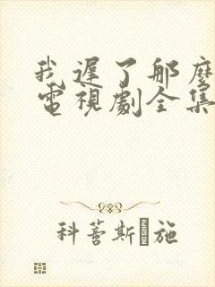 我迟了那么多年电视剧全集免费播放封面