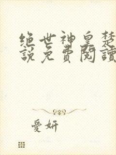 绝世神皇楚风小说免费阅读