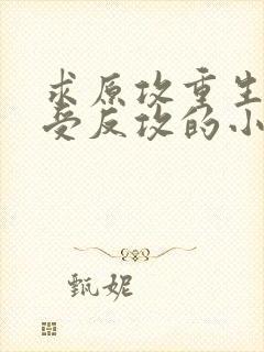 求原攻重生被原受反攻的小说封面