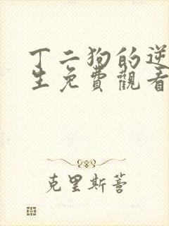 丁二狗的逆袭人生免费观看超清版