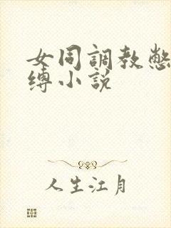 女同调教憋尿束缚小说封面