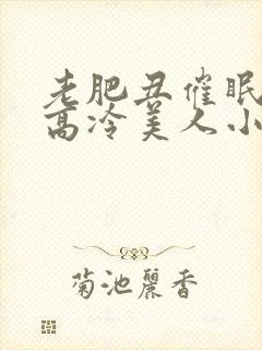 老肥丑催眠改造高冷美人小说