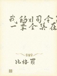 我的xl司令第一季全集在线观看完整版免费