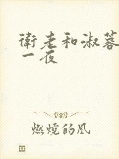 卫老和淑蓉销魂一夜封面