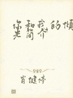 你和我的倾城时光简介封面