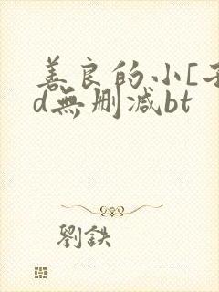 善良的小[子hd无删减bt