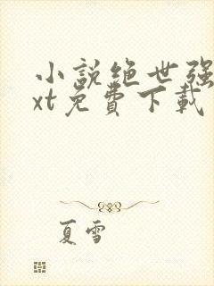 小说绝世强龙txt免费下载