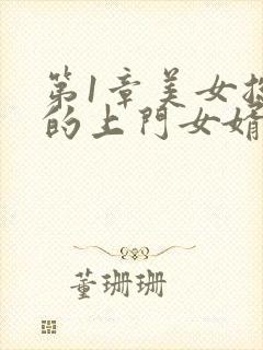 第1章美女总裁的上门女婿