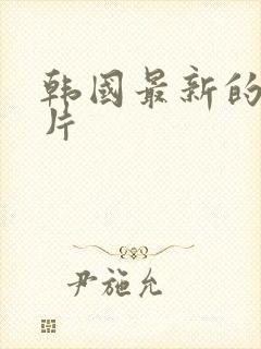韩国最新的伦理片封面