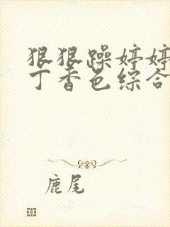 狠狠躁婷婷久久丁香色综合