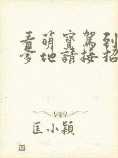 看萌宝驾到总裁爹地请接招封面