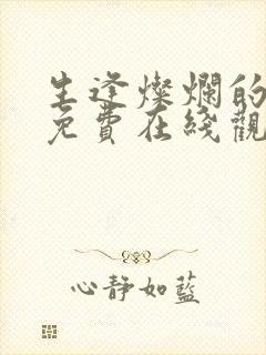 生逢灿烂的日子免费在线观看完整版