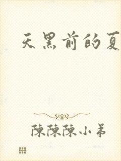 天黑前的夏天封面