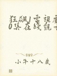 狂飙1电视剧40集在线观看免费封面