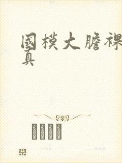 国模大胆裸体写真封面