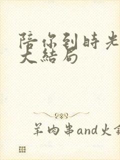 陪你到时光尽头大结局