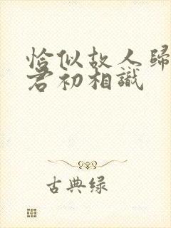 恰似故人归 与君初相识封面