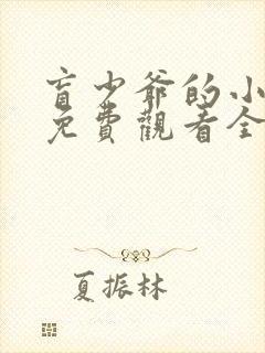 盲少爷的小女仆免费观看全集