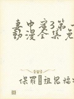 妻中蜜3第一季动漫全集免费观看