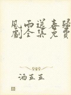 风雨送春归电视剧全集免费观看完整版封面