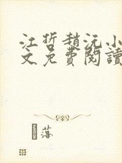 江哲赵沅小说全文免费阅读封面