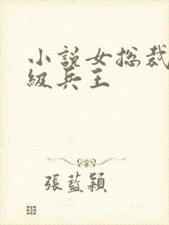 小说女总裁的超级兵王封面