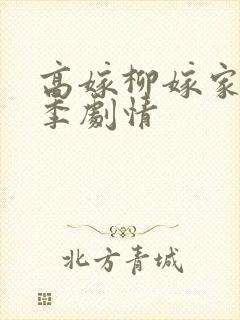 高嫁柳嫁家第一季剧情封面