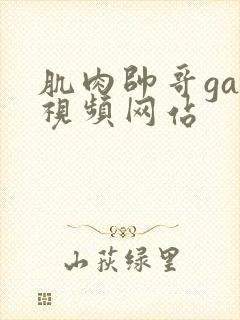 肌肉帅哥gay视频网站