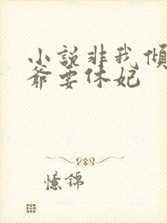 小说非我倾城王爷要休妃封面