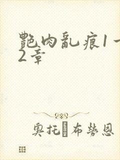 艳肉乱痕1一12章封面