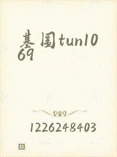 基图tun1069封面