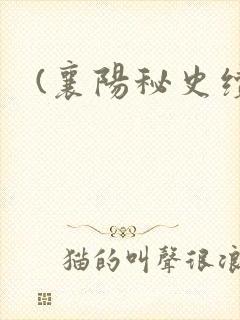 (襄阳秘史续)