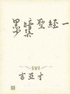 黑暗圣经一共多少集