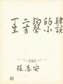 丁二狗的肆意人生有声小说在线听封面